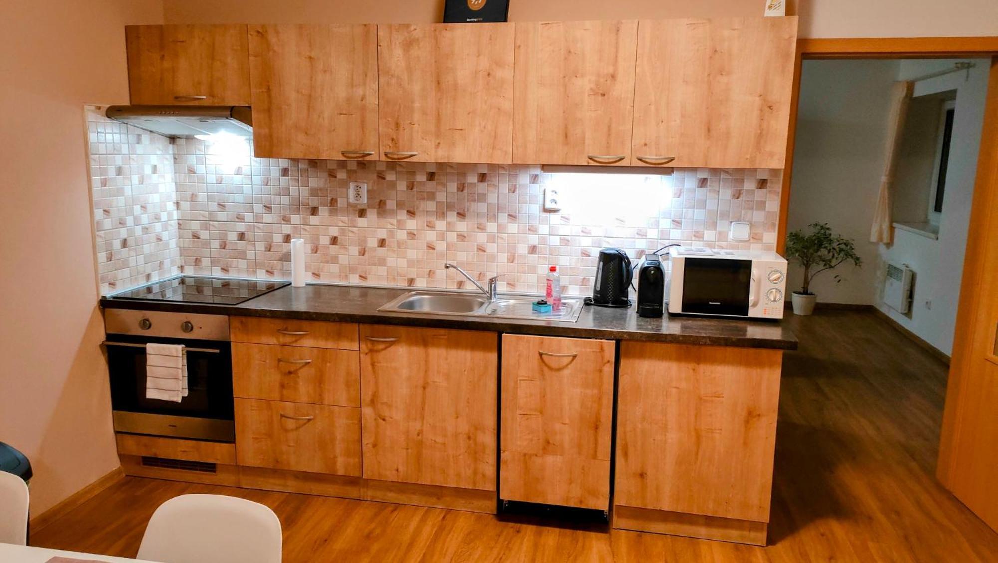 Bohemica Apartments Decin Cameră foto