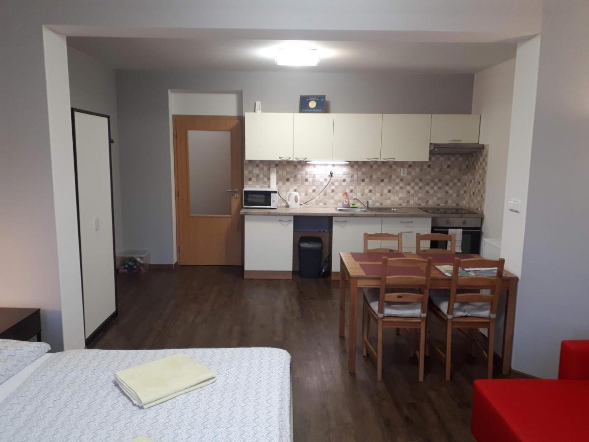 Bohemica Apartments Decin Exterior foto